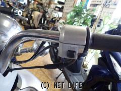 ホンダ ジョルノクレア