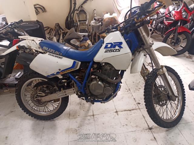 スズキ DR250