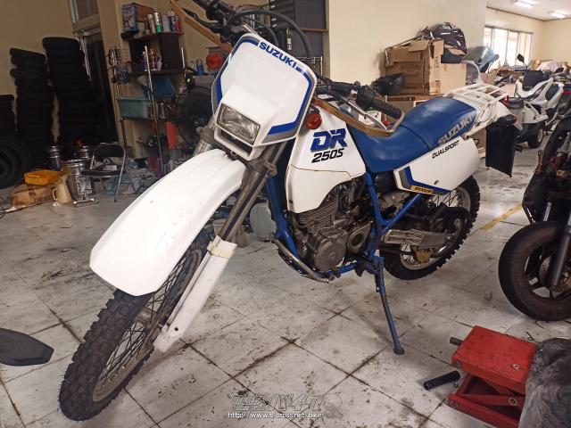 スズキ DR250