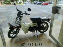 スズキ バーディー50