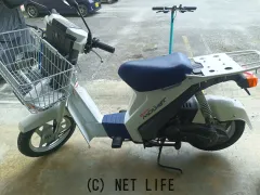 スズキ モレ