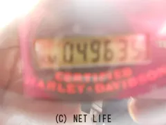 ハーレーダビッドソン ソフテイル