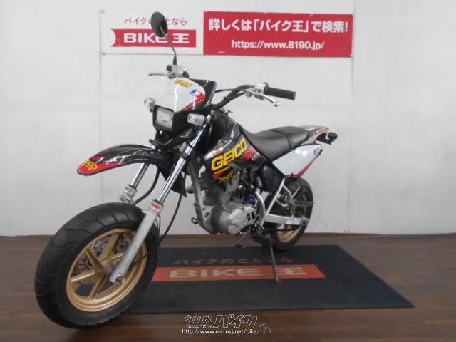 ホンダ XR100 モタード 社外マフラー カスタムデカール 《VISA