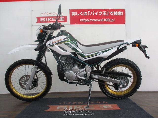プロユース1500 0.3 ×10個 新品未使用　 合馬公式アカウント1 2025年最新】プロユース1500の人気アイテム - メルカリ