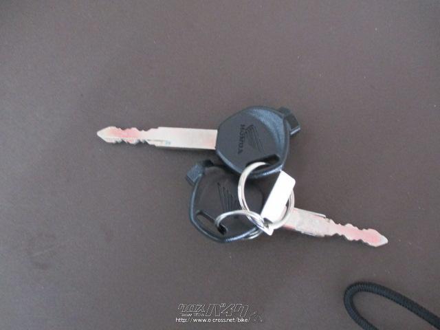 ホンダ ジョルノ