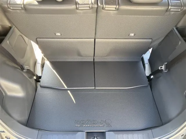 是非一度、実車を御覧ください。 三菱 デリカミニ