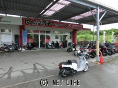 ホンダ ベンリィ50