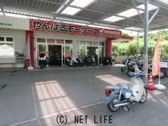 ホンダ スーパーカブ