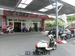 ホンダ ジョルノ