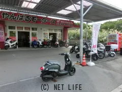 ホンダ ジョルノ