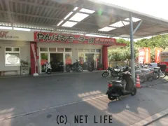 ホンダ タクト