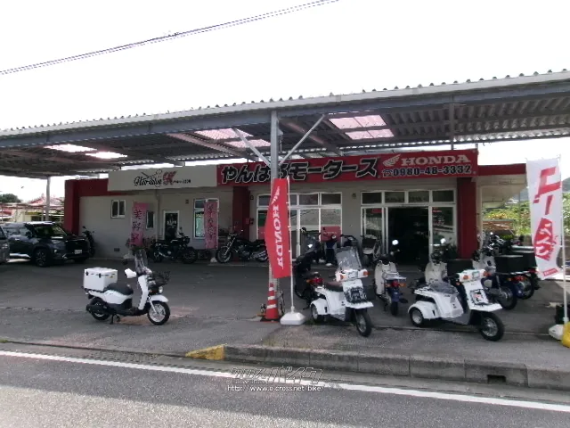 ホンダ ベンリィ50