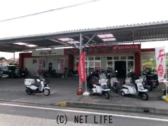 ホンダ ベンリィ50