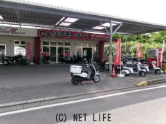 ホンダ ベンリィ50