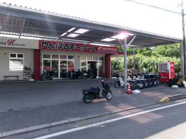 ホンダ ベンリィ50