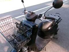 ホンダ ベンリィ50