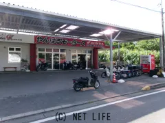 ホンダ ベンリィ50