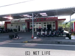 ホンダ ベンリィ50