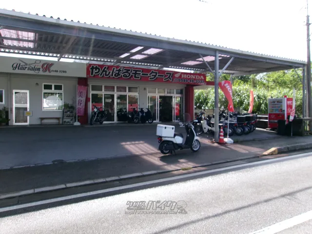 ホンダ ベンリィ50