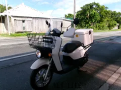 ホンダ ベンリィ50