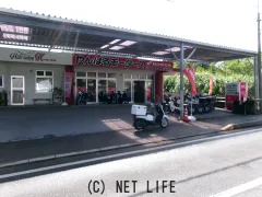 ホンダ ベンリィ50