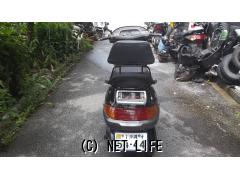 ホンダ フリーウェイ 250・250cc・DECADE・35,000km・保証付・1ヶ月
