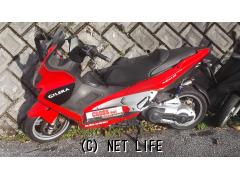 ジレラ ネクサス