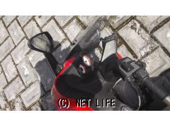 ジレラ ネクサス