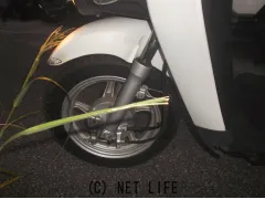 ホンダ ベンリィ110
