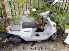 部品取車・フレーム等 部品取車