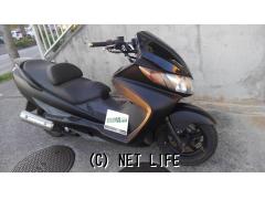 カワサキ エプシロン 250・つや消し黒・250cc・ストリートエッジ