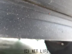 スズキ アルトラパン