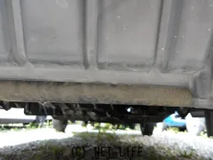 スズキ キャリイ