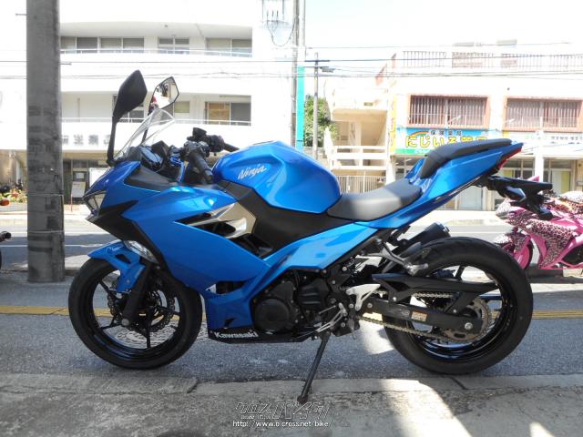 カワサキ ニンジャ250 2019モデル・2019(R1)初度登録(届出)年・ブルー