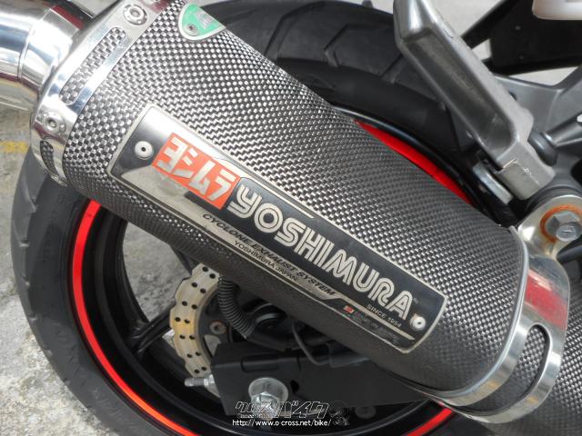 その他 R カワサキ ニンジャ250 R・赤・250cc・(有)シェイプ・8,436km
