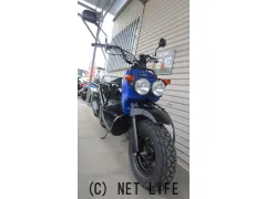 ホンダ ズーマー