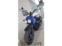 ホンダ ズーマー