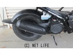 ホンダ ズーマー