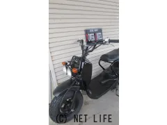 ホンダ ズーマー