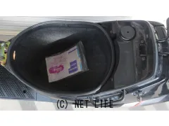 スズキ アドレスV100