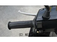 スズキ アドレスV100