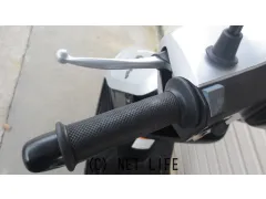 スズキ アドレスV100