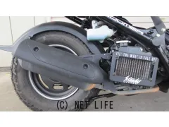 ホンダ ズーマー