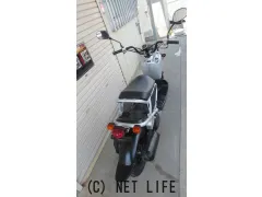 ホンダ ズーマー