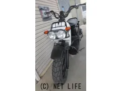 ホンダ ズーマー