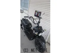 ホンダ ズーマー