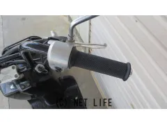 ホンダ ズーマー