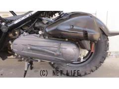 ホンダ ズーマー