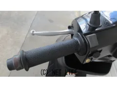 スズキ アドレスV100