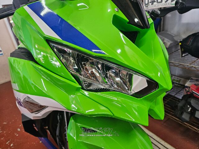 ☆けーすけ☆   2024 インターハイ(長崎)限定　Lサイズ 2024 Ninja ZX-4RR 40th Anniversary Edition モーターサイクル
